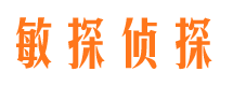 乐业侦探调查公司